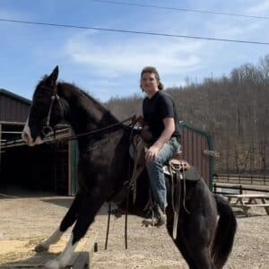SOLD Reserve met Ezekiel TWH trail horse/buggy horse deluxe 8yo 15.1 consigned