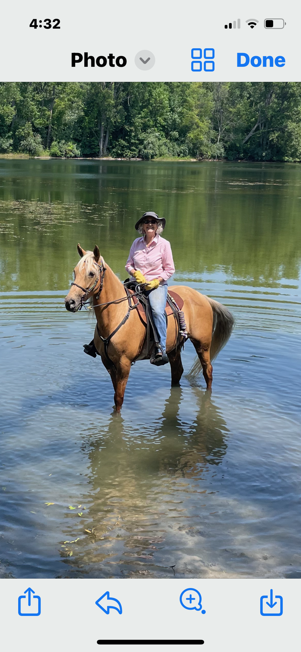 Jesters Jewell Registered Missouri Fox Trotter Mare 10yo 15hh SAFE SAFE SAFE!!! Sells 4/20 9:15pmEST - Image 11